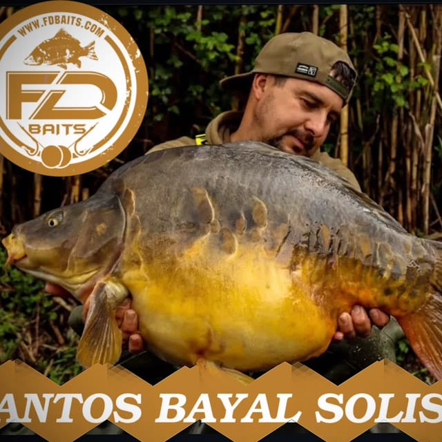 Santos Bayal Solis